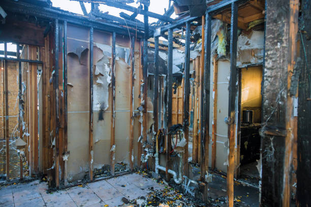 Professional Fire Damage Assessment technician working in Berkeley, IL